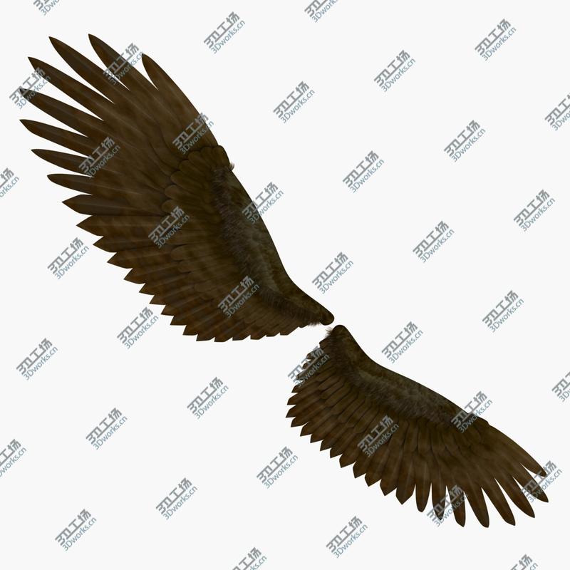 images/goods_img/2021040234/3D Wings model/5.jpg